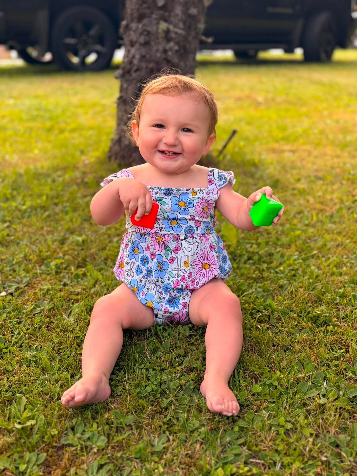 Garden Geese Bubble Romper