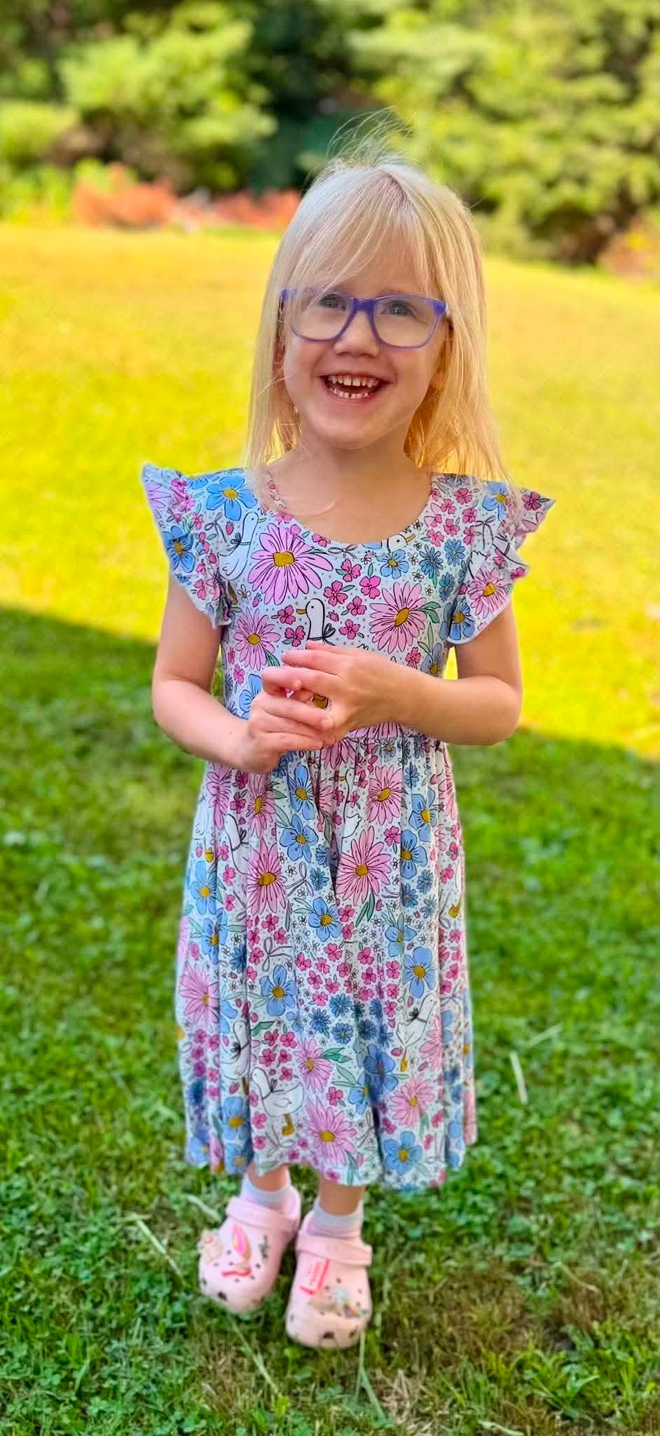 Garden Geese Flutter Sleeve Twirl Dress